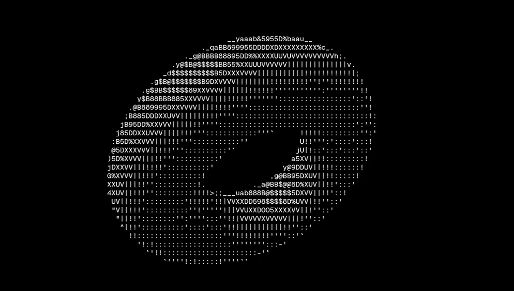 The same torus at 120 columns in the new app, keeping the source's proportions